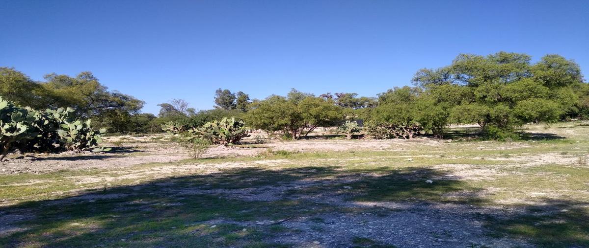 Foto de terreno habitacional en avenida nacional , san pedro alpuyeca, tula de allende, hidalgo, 0 foto 02 Foto de terreno habitacional en venta en avenida nacional , san pedro alpuyeca, tula de allende, hidalgo, 0 No. 02