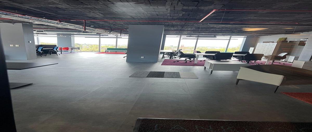 Foto de oficina en renta en avenida newton , polanco iv sección, miguel hidalgo, df / cdmx, 0 No. 05