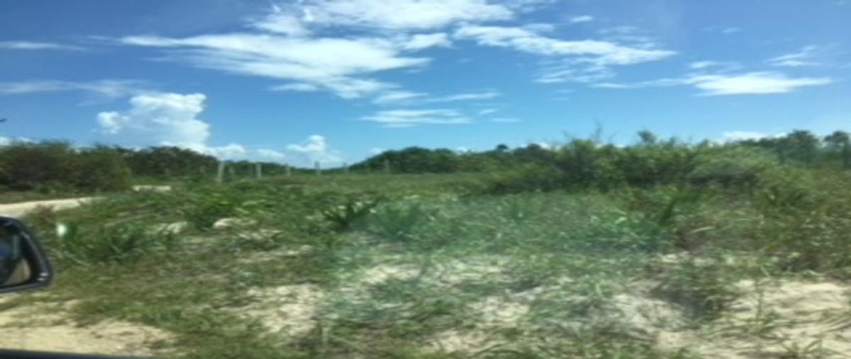 Foto de terreno habitacional en avenida niños heroes , puerto morelos, puerto morelos, quintana roo, 23288984 foto 05 Foto de terreno habitacional en venta en avenida niños heroes , puerto morelos, puerto morelos, quintana roo, 23288984 No. 05