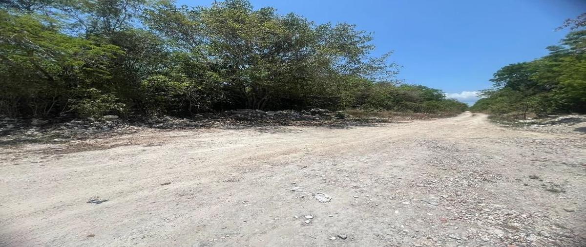 Foto de terreno habitacional en avenida , nuevo centro urbano, solidaridad, quintana roo, 0 foto 01 Foto de terreno habitacional en venta en avenida , nuevo centro urbano, solidaridad, quintana roo, 0 No. 01