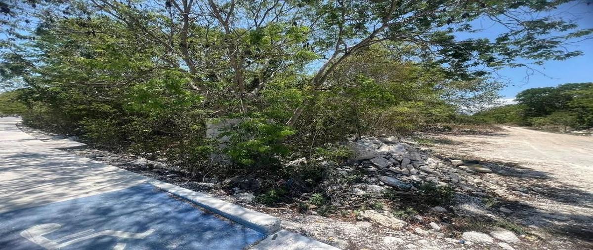 Foto de terreno habitacional en avenida , nuevo centro urbano, solidaridad, quintana roo, 0 foto 02 Foto de terreno habitacional en venta en avenida , nuevo centro urbano, solidaridad, quintana roo, 0 No. 02