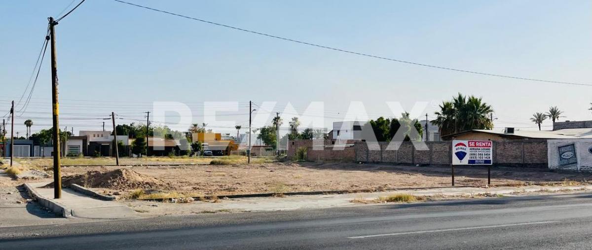 Foto de terreno comercial en renta en avenida obregón, calle 24 , residencias, san luis río colorado, sonora, 0 No. 01