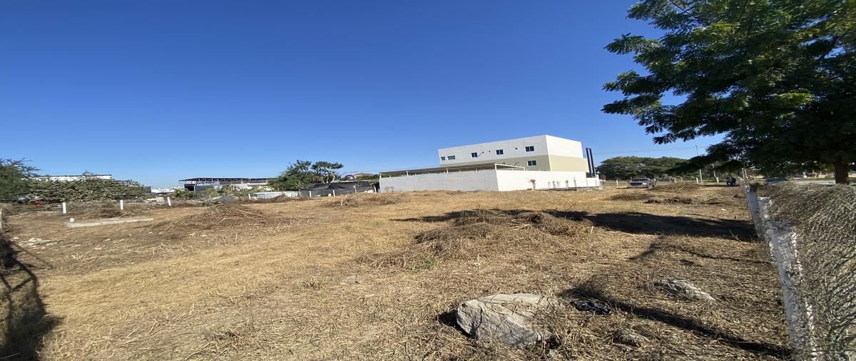 Foto de terreno comercial en renta en avenida oscar perez escobosa , real pacífico, mazatlán, sinaloa, 27630684 No. 05