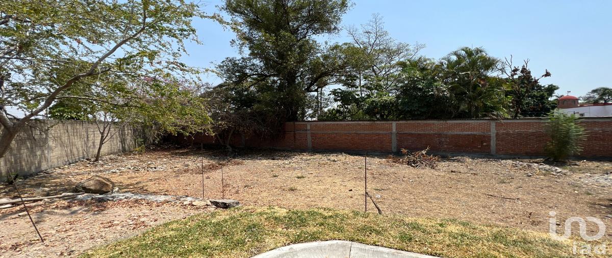 Foto de terreno habitacional en venta en avenida palmira , palmira tinguindin, cuernavaca, morelos, 28720568 No. 03