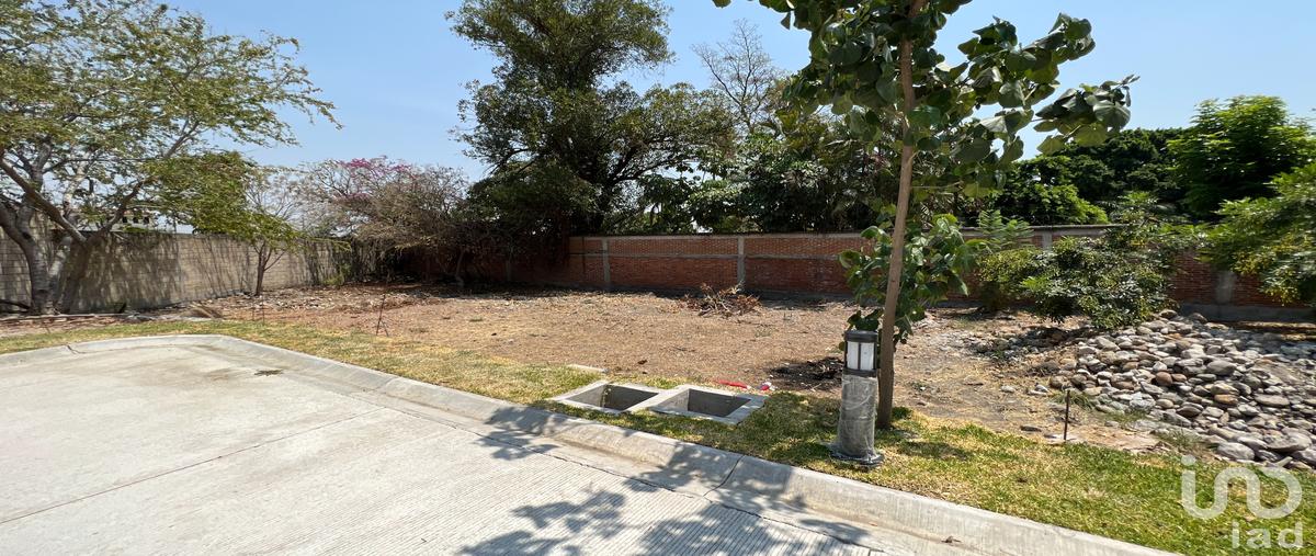 Foto de terreno habitacional en venta en avenida palmira , palmira tinguindin, cuernavaca, morelos, 28720568 No. 04