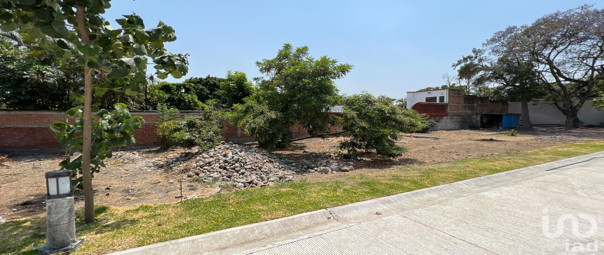 Foto de terreno habitacional en venta en avenida palmira , palmira tinguindin, cuernavaca, morelos, 28720568 No. 05