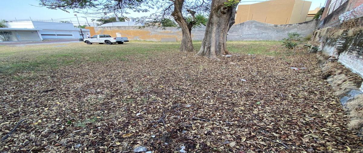 Foto de terreno habitacional en venta en avenida palmira , palmira tinguindin, cuernavaca, morelos, 29695066 No. 04