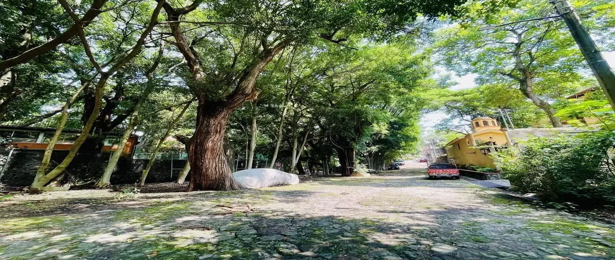 Foto de terreno habitacional en venta en avenida palmira ., palmira tinguindin, cuernavaca, morelos, 30359524 No. 01