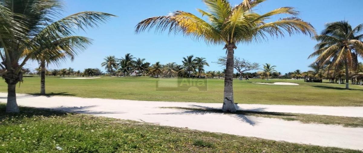 Foto de terreno industrial en avenida palo de tinte 7, playa palmas, carmen, campeche, 24781821 foto 03 Foto de terreno industrial en venta en avenida palo de tinte 7, playa palmas, carmen, campeche, 24781821 No. 03