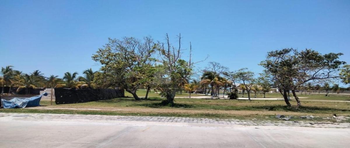 Foto de terreno industrial en avenida palo de tinte 7, playa palmas, carmen, campeche, 24781821 foto 04 Foto de terreno industrial en venta en avenida palo de tinte 7, playa palmas, carmen, campeche, 24781821 No. 04