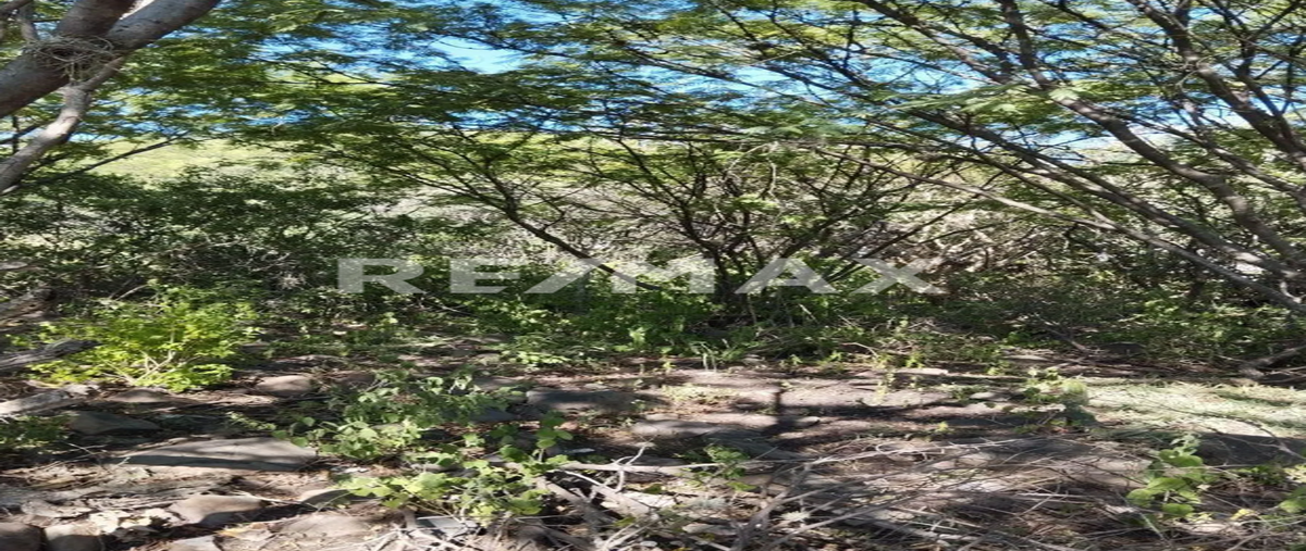 Foto de terreno habitacional en venta en avenida panorámica , campestre huertas la joya, querétaro, querétaro, 0 No. 05