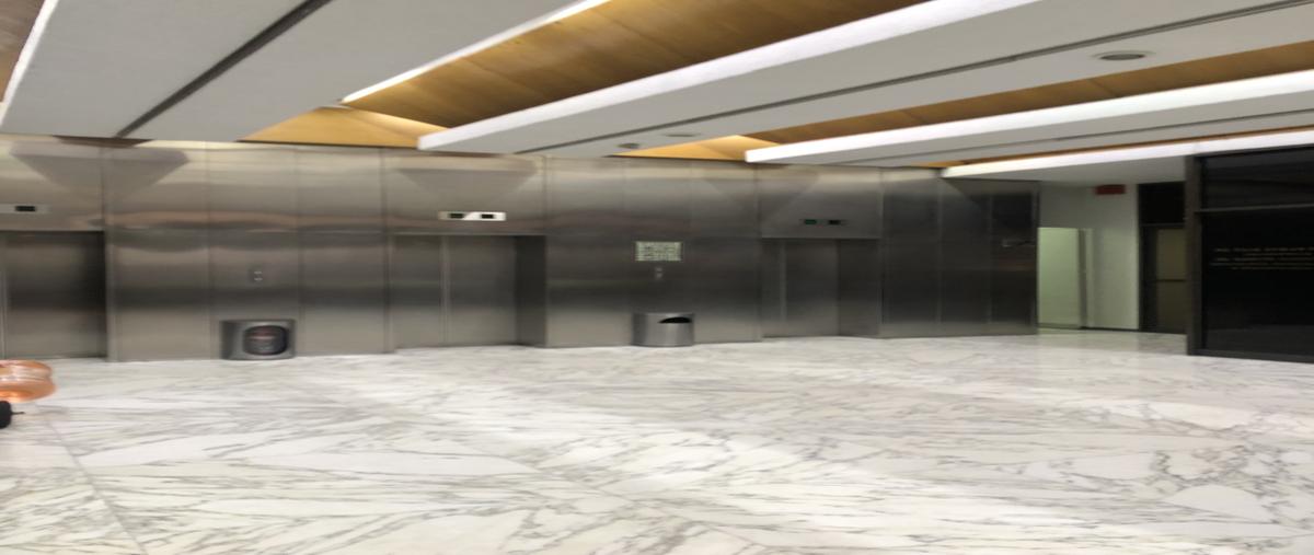 Foto de edificio en renta en avenida paseo de las palmas , lomas de chapultepec i sección, miguel hidalgo, df / cdmx, 30500940 No. 05