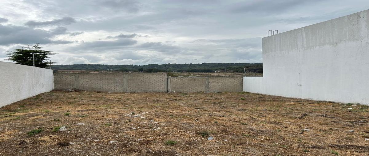 Foto de terreno habitacional en venta en avenida paseo de los robles norte 188, hacienda las tejas, zapopan, jalisco, 0 No. 05