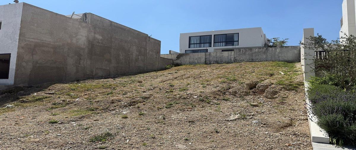 Foto de terreno habitacional en venta en avenida paseo de los robles norte , los robles, zapopan, jalisco, 0 No. 05