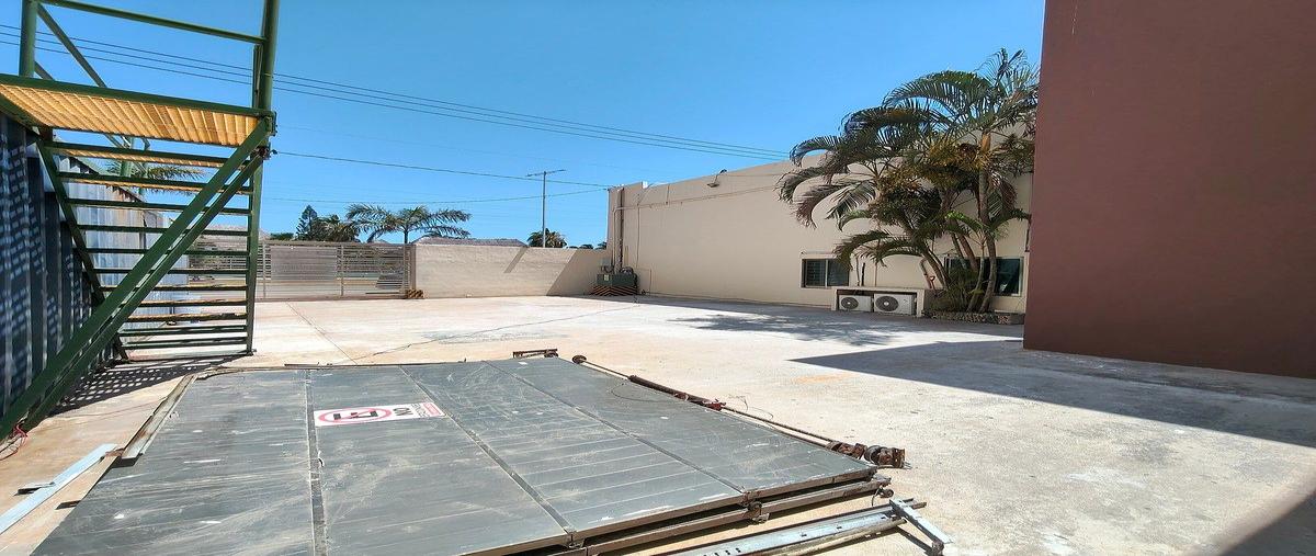 Foto de oficina en renta en avenida paseo del mar , justo sierra, carmen, campeche, 0 No. 05