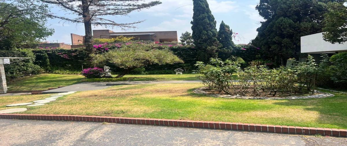 Foto de terreno habitacional en renta en avenida paseo del pedregal , jardines del pedregal, álvaro obregón, df / cdmx, 28149090 No. 03