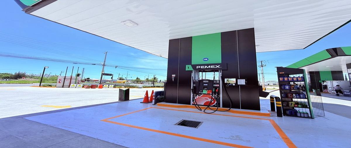 Foto de local en renta en avenida paseos de aguascalientes , paseos de aguascalientes, jesús maría, aguascalientes, 31093187 No. 04