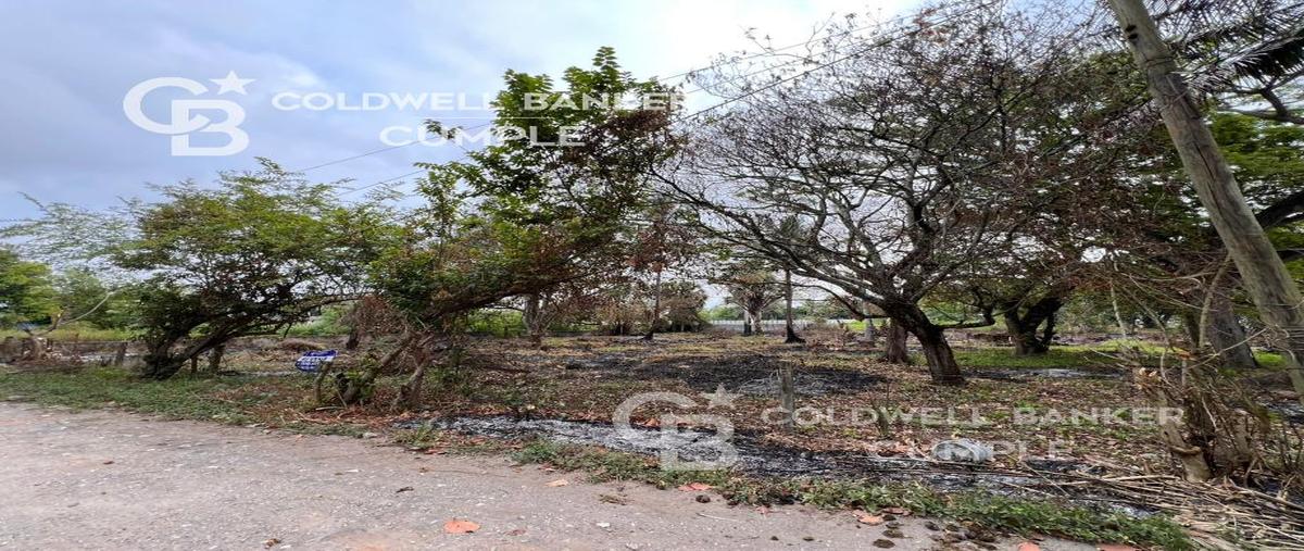 Foto de terreno habitacional en venta en avenida periférico , la laguna y monte del castillo, medellín de bravo, veracruz de ignacio de la llave, 0 No. 04