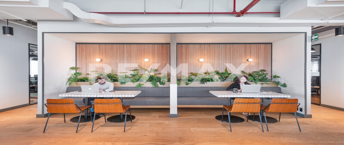 Foto de oficina en renta en avenida periférico sur , jardines del pedregal, álvaro obregón, df / cdmx, 0 No. 04