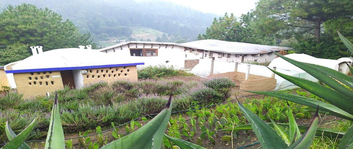 Foto de rancho en venta en avenida piedra grande , san miguel, huixquilucan, méxico, 0 No. 05