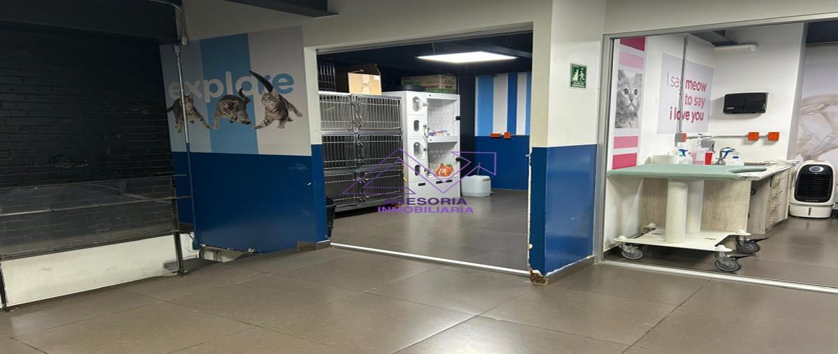 Foto de local en renta en avenida prado norte , lomas de chapultepec vii sección, miguel hidalgo, df / cdmx, 31065124 No. 04