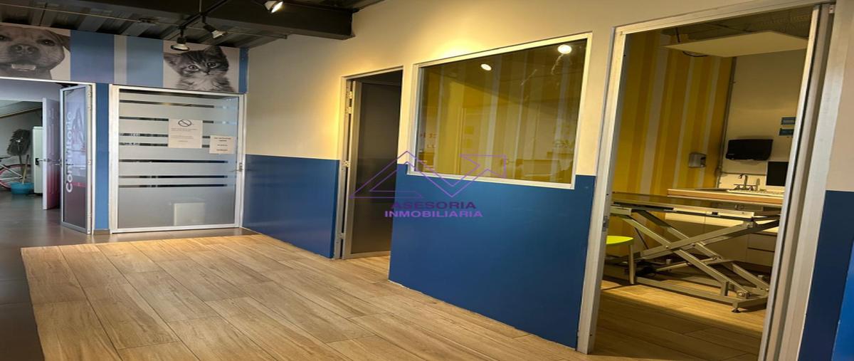 Foto de local en renta en avenida prado norte , lomas de chapultepec vii sección, miguel hidalgo, df / cdmx, 31065124 No. 10