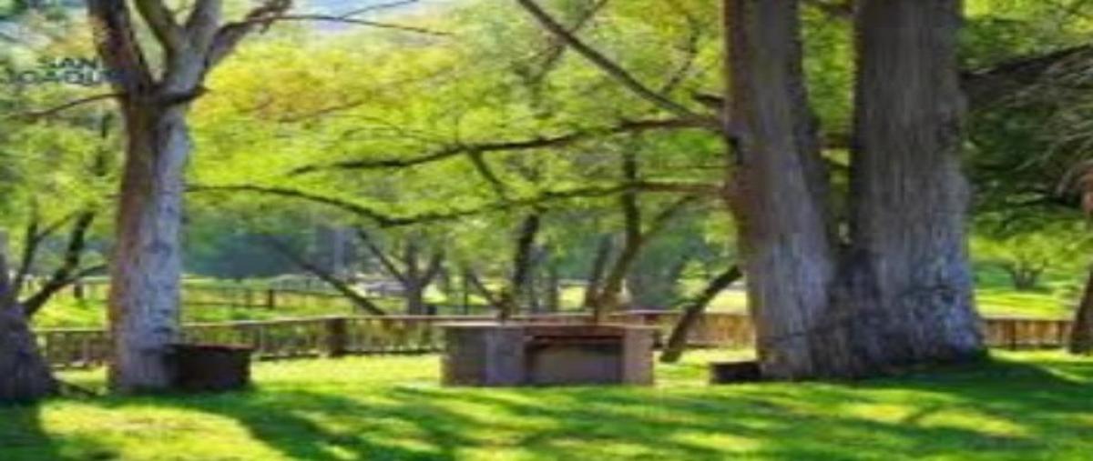 Foto de terreno habitacional en avenida principal 1, campestre bosques de las lomas, aguascalientes, aguascalientes, 0 foto 01 Foto de terreno habitacional en venta en avenida principal 1, campestre bosques de las lomas, aguascalientes, aguascalientes, 0 No. 01