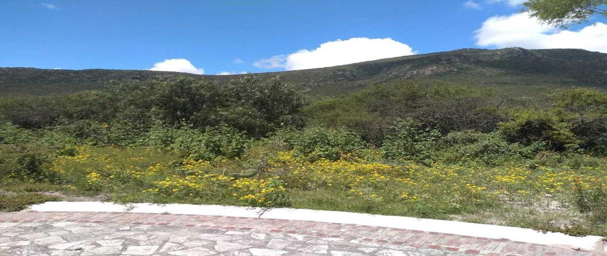 Foto de terreno habitacional en venta en avenida principal , bernal, ezequiel montes, querétaro, 28926186 No. 05