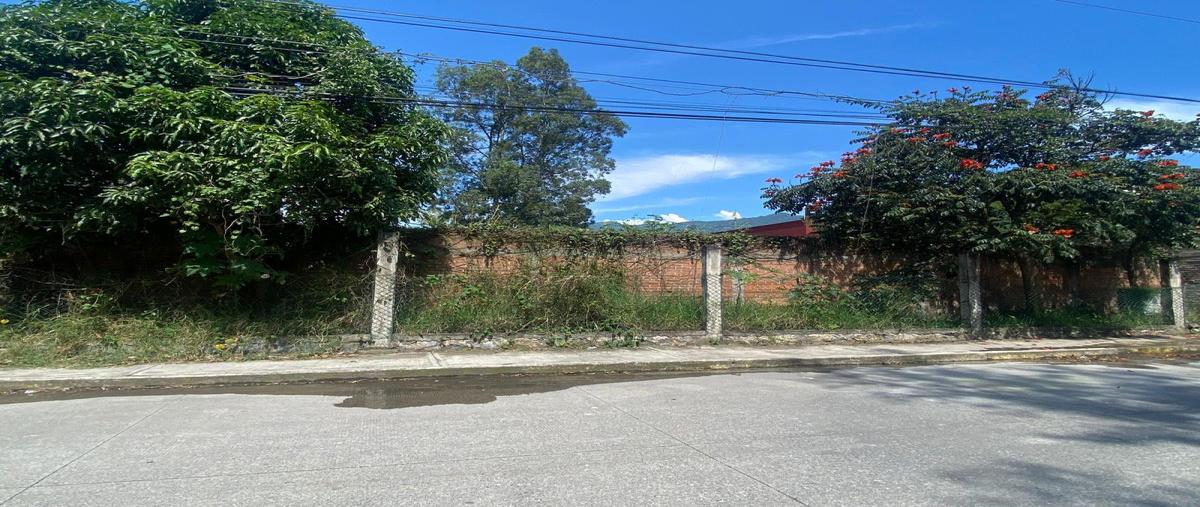 Foto de terreno habitacional en renta en avenida principal nogales veracruz , nogales centro, nogales, veracruz de ignacio de la llave, 0 No. 02
