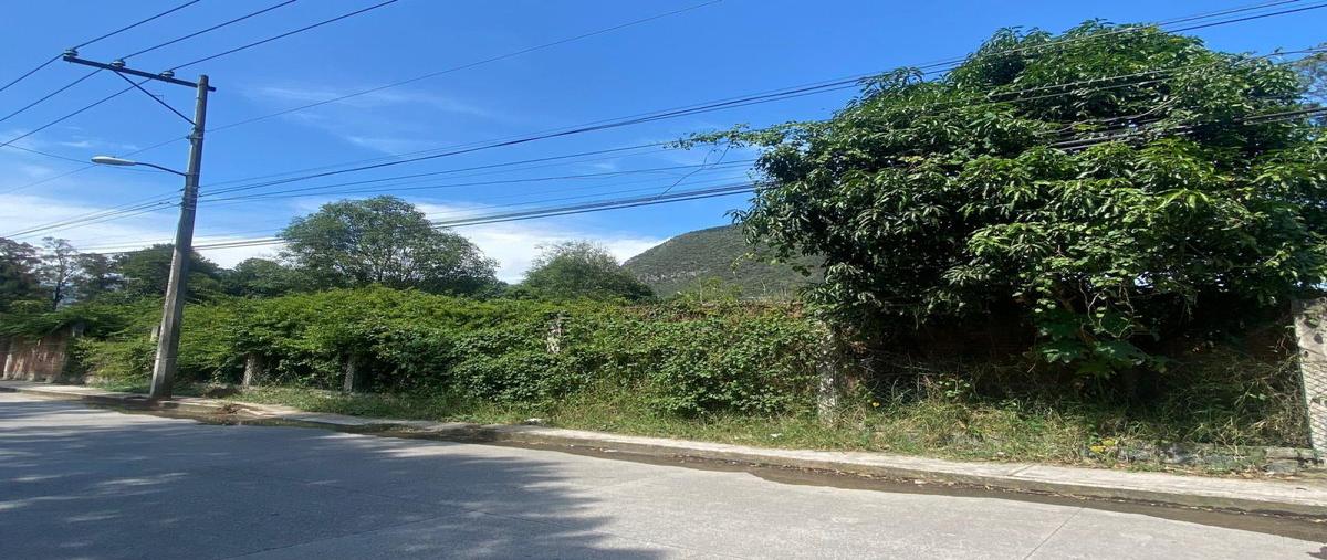 Foto de terreno habitacional en renta en avenida principal nogales veracruz , nogales centro, nogales, veracruz de ignacio de la llave, 0 No. 04