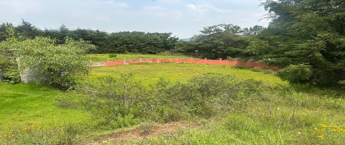 Foto de rancho en avenida principal sn , espíritu santo, jilotzingo, méxico, 31718561 foto 01 Foto de rancho en venta en avenida principal sn , espíritu santo, jilotzingo, méxico, 31718561 No. 01