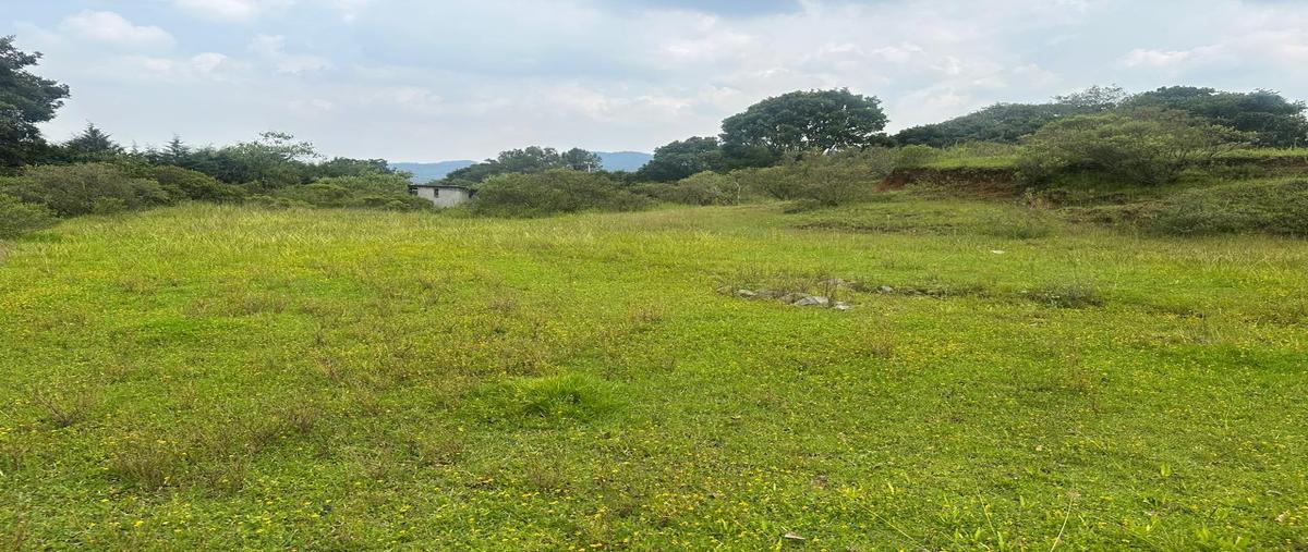 Foto de rancho en avenida principal sn , espíritu santo, jilotzingo, méxico, 31718561 foto 04 Foto de rancho en venta en avenida principal sn , espíritu santo, jilotzingo, méxico, 31718561 No. 04