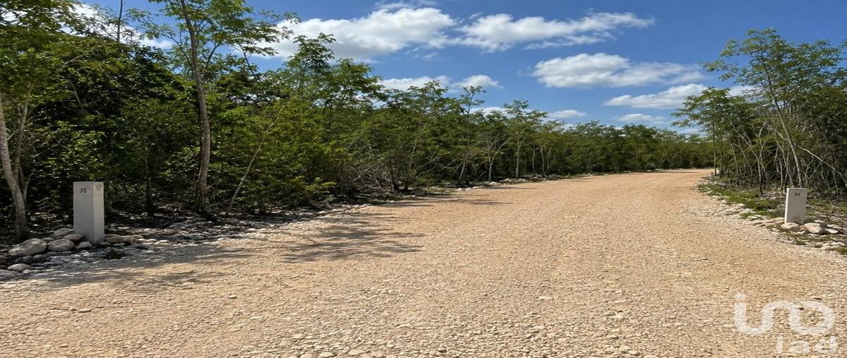 Foto de terreno habitacional en avenida principal , tixkuncheil, baca, yucatán, 31565060 foto 05 Foto de terreno habitacional en venta en avenida principal , tixkuncheil, baca, yucatán, 31565060 No. 05