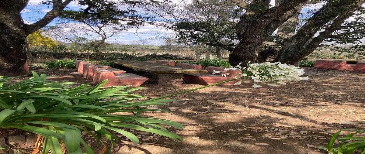 Foto de rancho en venta en avenida principal xhitey , buenavista, jilotepec, méxico, 0 No. 03