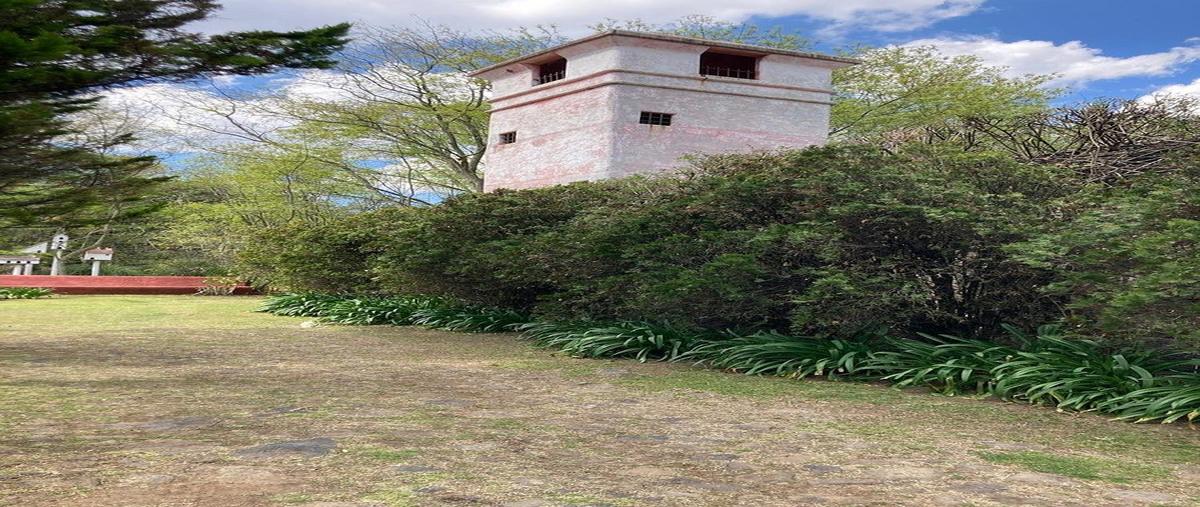 Foto de rancho en venta en avenida principal xhitey , buenavista, jilotepec, méxico, 0 No. 04