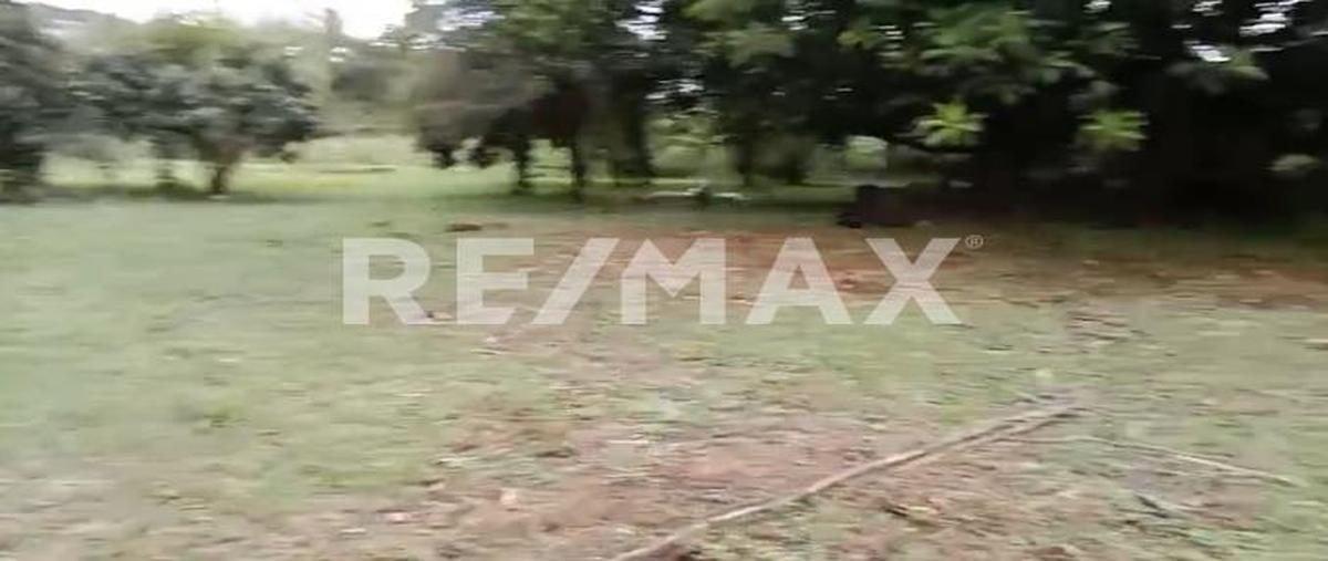 Foto de terreno habitacional en venta en avenida reforma , la reforma, san agustín etla, oaxaca, 0 No. 03