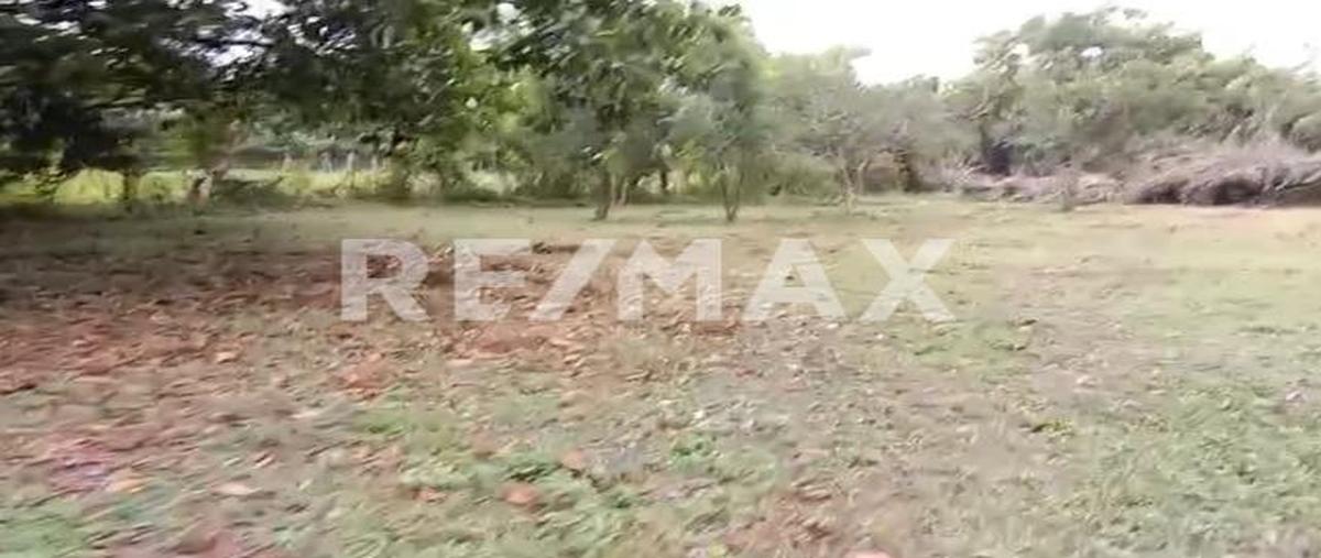 Foto de terreno habitacional en venta en avenida reforma , la reforma, san agustín etla, oaxaca, 0 No. 05