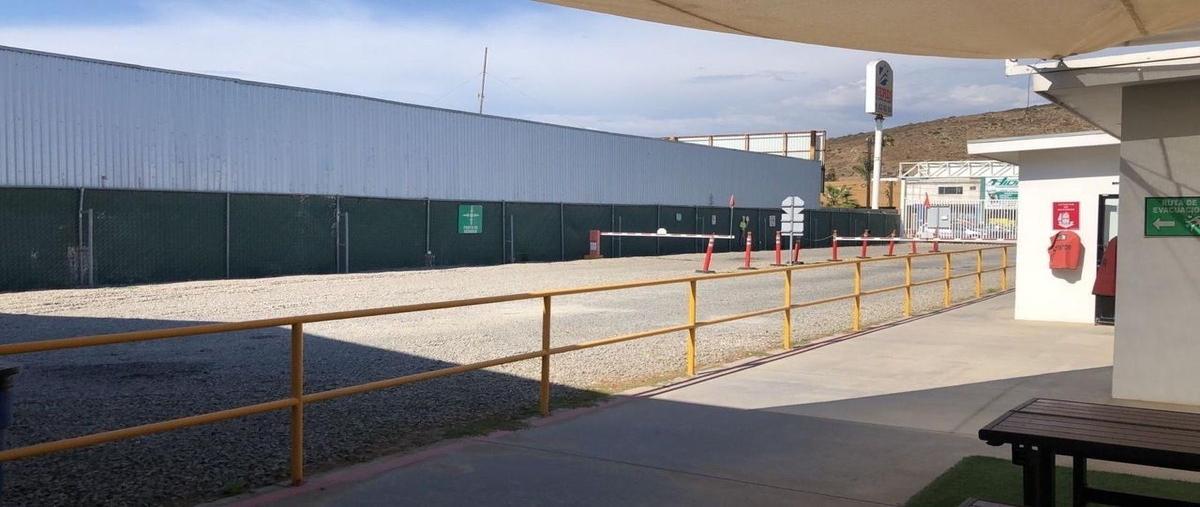 Foto de bodega en renta en avenida reforma , reforma, ensenada, baja california, 0 No. 04