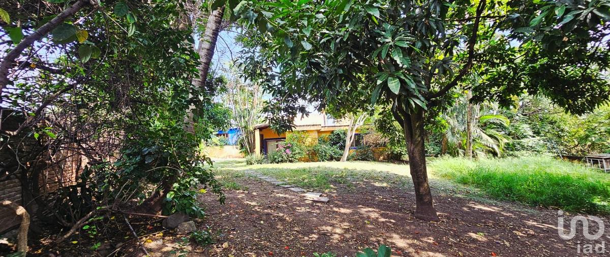 Foto de terreno habitacional en avenida reforma , temixco centro, temixco, morelos, 0 foto 01 Foto de terreno habitacional en venta en avenida reforma , temixco centro, temixco, morelos, 0 No. 01