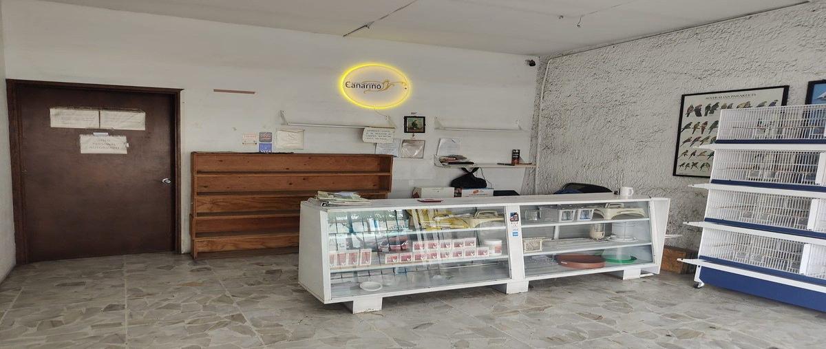 Foto de local en avenida revolución , analco, guadalajara, jalisco, 0 foto 05 Foto de local en renta en avenida revolución , analco, guadalajara, jalisco, 0 No. 05