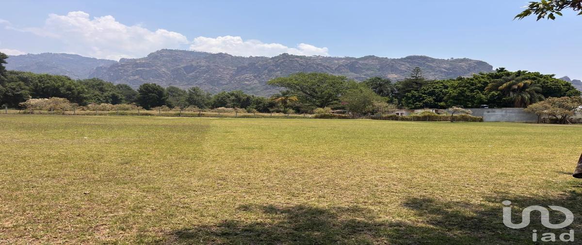 Foto de terreno habitacional en venta en avenida revolución de 1910 , santo domingo, tepoztlán, morelos, 31254351 No. 03