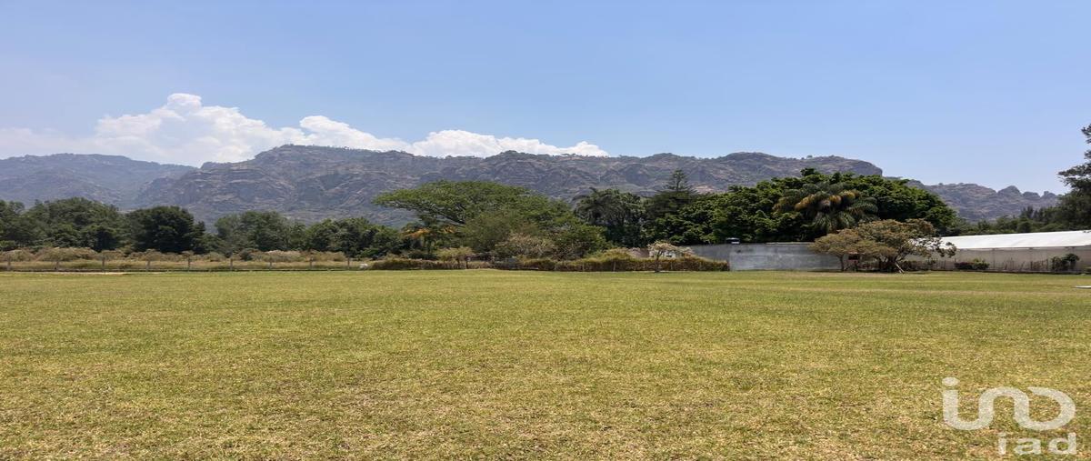 Foto de terreno habitacional en venta en avenida revolución de 1910 , santo domingo, tepoztlán, morelos, 31254351 No. 04