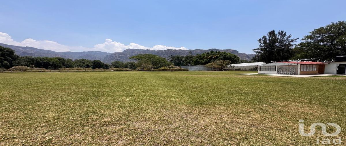 Foto de terreno habitacional en venta en avenida revolución de 1910 , santo domingo, tepoztlán, morelos, 31254351 No. 05