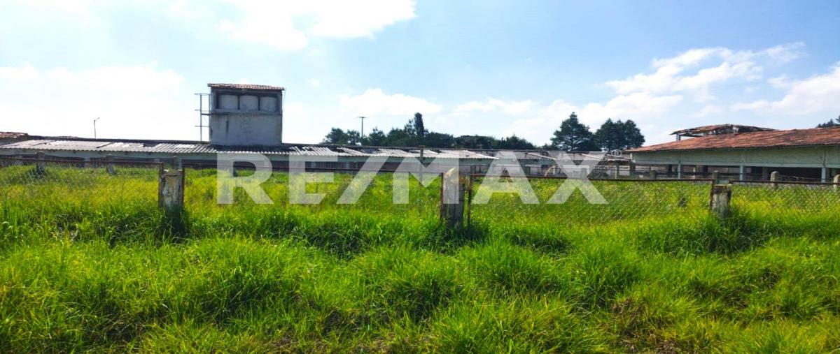 Foto de terreno habitacional en venta en avenida revolución , mayorazgo de león (estación río méxico), almoloya de juárez, méxico, 28982230 No. 05