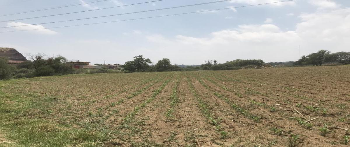Foto de terreno habitacional en venta en avenida revolucion oriente 29, san luis aculco, tenango del aire, méxico, 21973617 No. 04