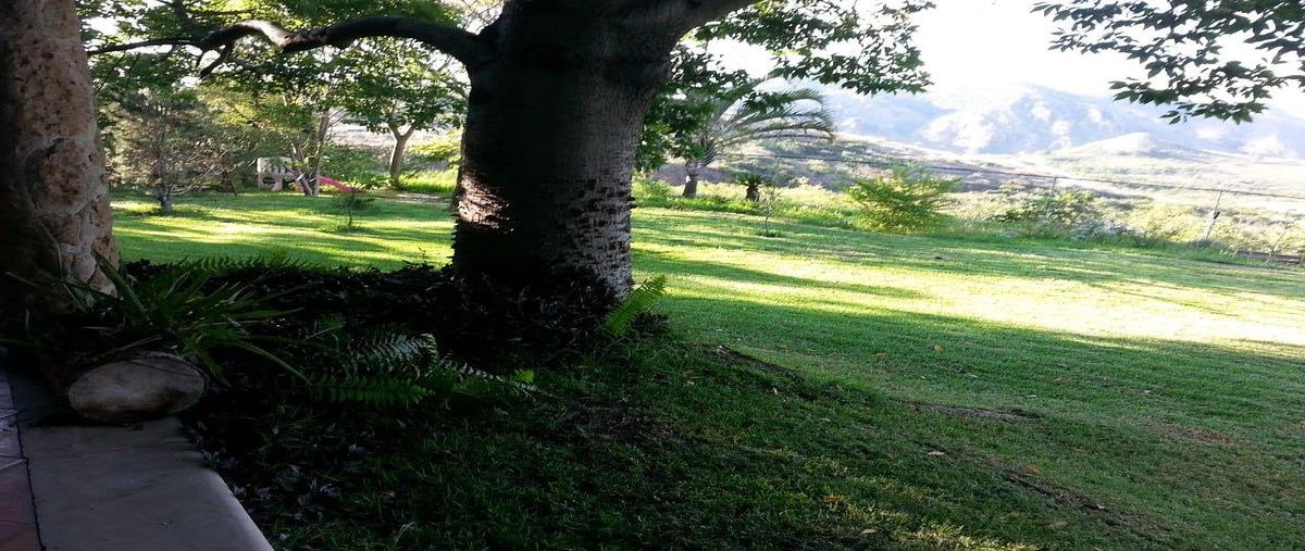 Foto de casa en venta en avenida rio blanco , las cañadas, zapopan, jalisco, 0 No. 06