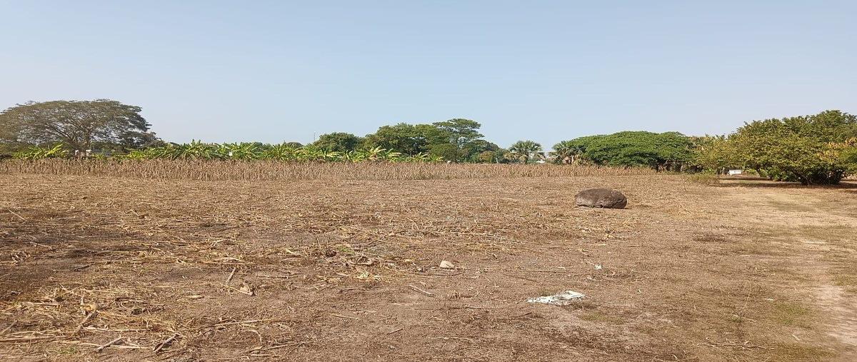 Foto de terreno habitacional en avenida río grijalva , fracción las palmas, tapachula, chiapas, 0 foto 03 Foto de terreno habitacional en venta en avenida río grijalva , fracción las palmas, tapachula, chiapas, 0 No. 03