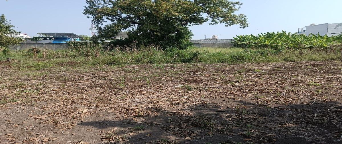 Foto de terreno habitacional en avenida río grijalva , fracción las palmas, tapachula, chiapas, 0 foto 04 Foto de terreno habitacional en venta en avenida río grijalva , fracción las palmas, tapachula, chiapas, 0 No. 04