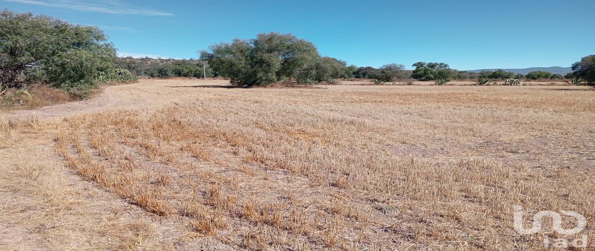 Foto de terreno comercial en venta en avenida rios , ciénega larga, epazoyucan, hidalgo, 30796574 No. 05