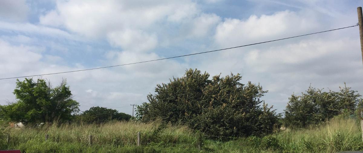 Foto de terreno habitacional en venta en avenida rodolfo torre cantú , miramar, ciudad madero, tamaulipas, 2420911 No. 01